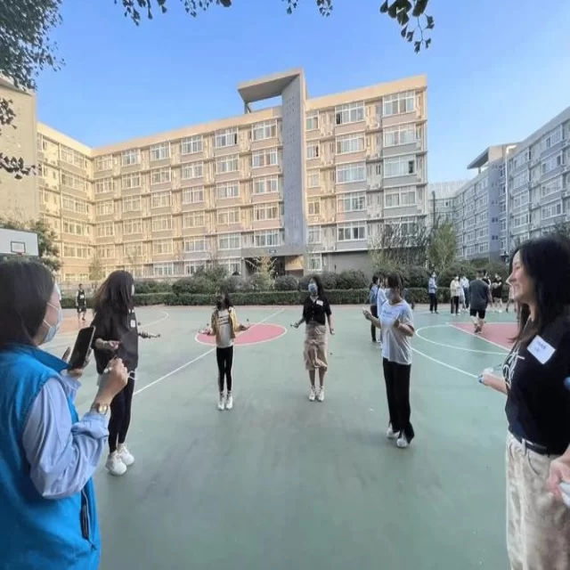 国际赛场第345组赛程深度解析与动态追踪